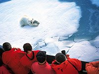 Интереснейший тур на Северный полюс