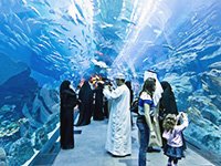 Что посмотреть туристам в Дубае