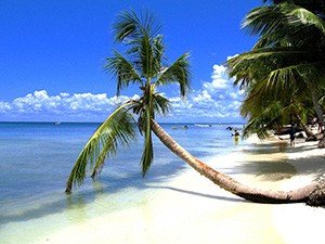 Самые красивые доминиканские пляжи: остров Саона