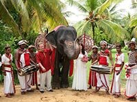 Сколько стоит свадьба в Шри-Ланке