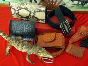 Сувениры из крокодиловой кожи из Нячанга