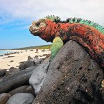 Удивительный отдых на Галапагосских островах