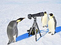Экспедиционный тур в Антарктиду