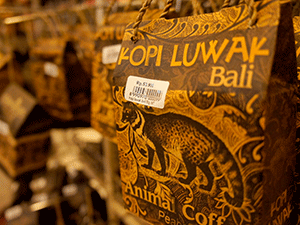 Знаменитый балийский кофе Лювак