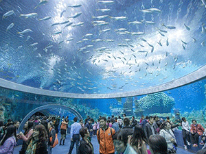 Достопримечательности для детей: аквариум в Варне